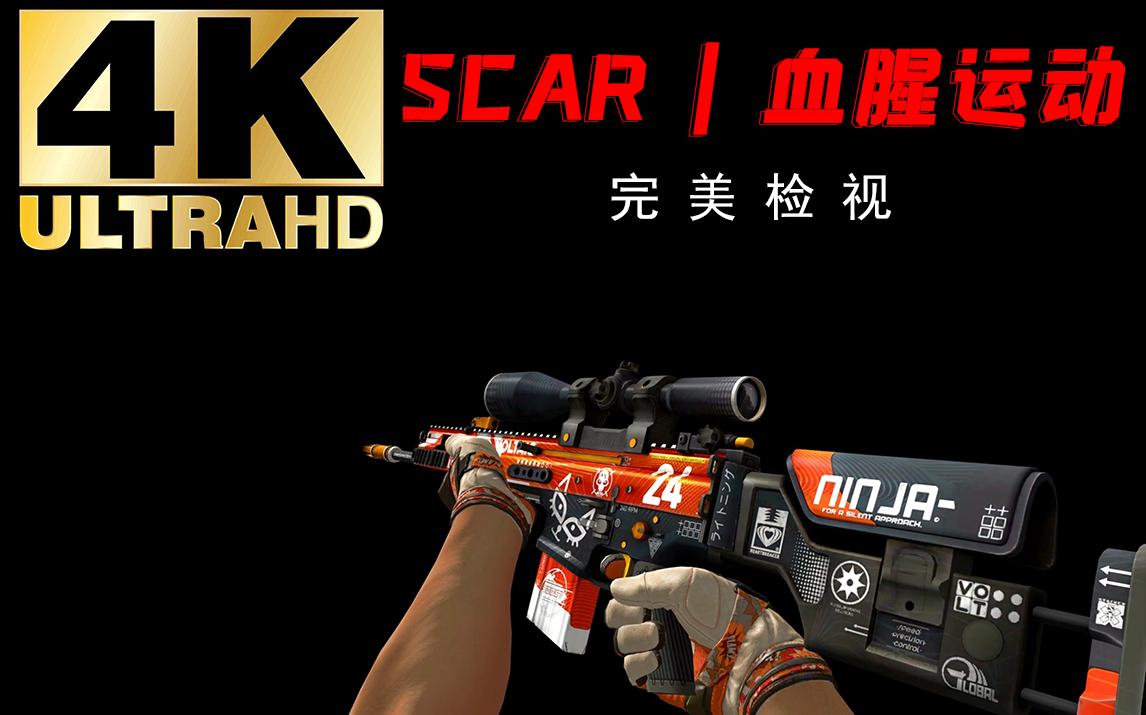 手机版团队竞技scar4V4团队竞技用什么枪好-第2张图片-太平洋在线下载