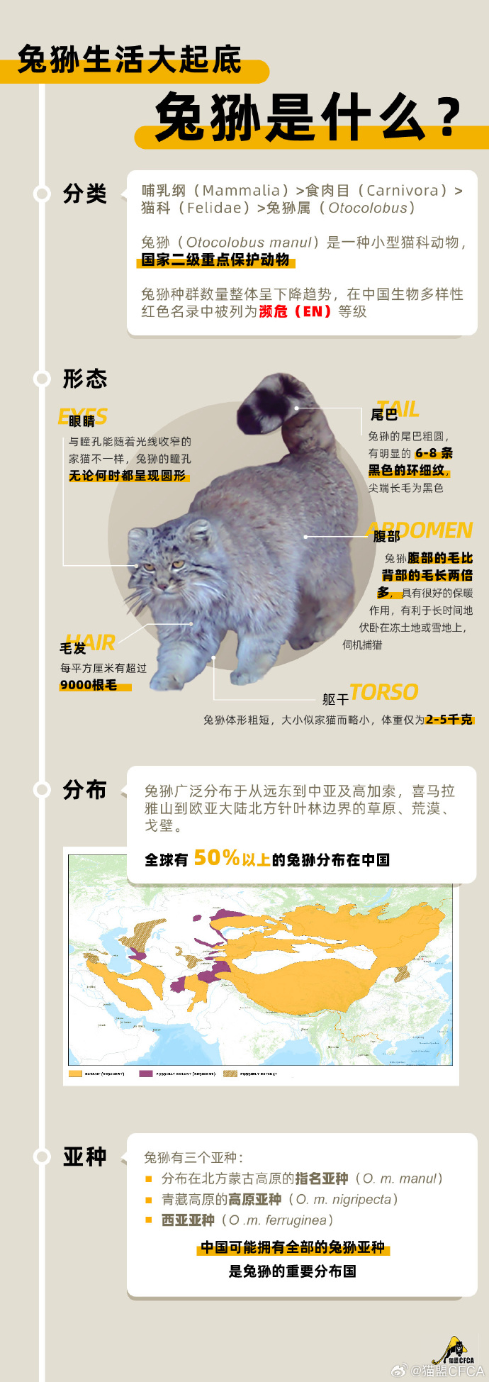 猫盟安卓版手机刷屏软件安卓版-第2张图片-太平洋在线下载