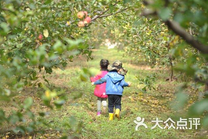 欢乐采摘园苹果版秋实苹果采摘园儿童画-第2张图片-太平洋在线下载