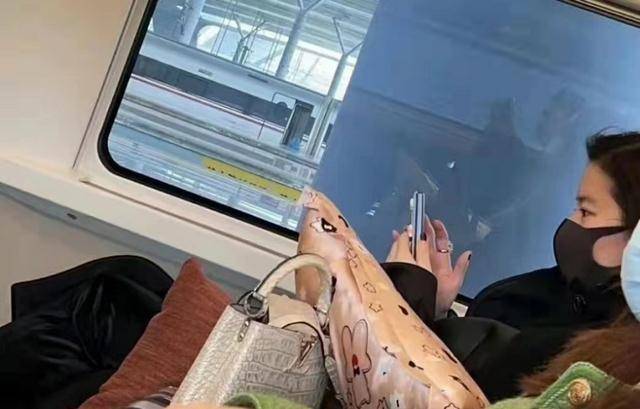 小苹果改编版女生:刘亦菲坐高铁被偶遇，侧颜绝美，气质出尘，网友希望能偶遇她